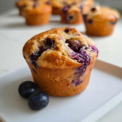 A golden-brown Blueberry Cottage Cheese Muffin sits on a white plate with two fresh blueberries beside it.