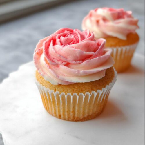 A close-up of a vanilla cupcake topped with beautifully piped pink and white Valentine Buttercream Roses.