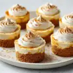 A plate featuring several individual Mexican Cinnamon Cheesecake Bites topped with whipped cream and cinnamon.